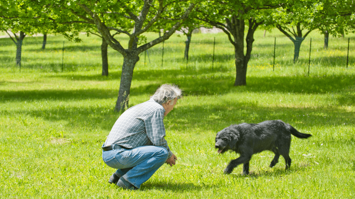 Discover 2024’s Popular Dog Names: Is Your Pup’s Name on the List? 2 JeangillGetty Images Signature