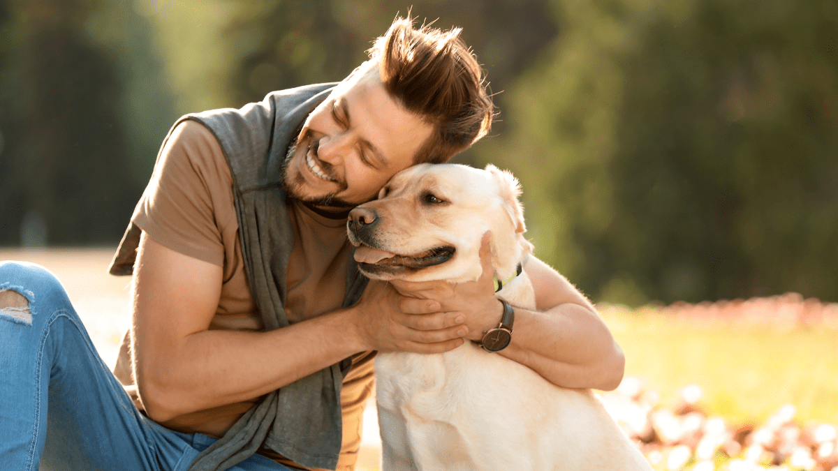 Top 15 Most Loving Dog Breeds 13 Labrador Retriever