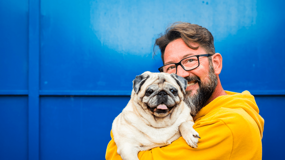 Top 15 Most Loving Dog Breeds 4 Pug