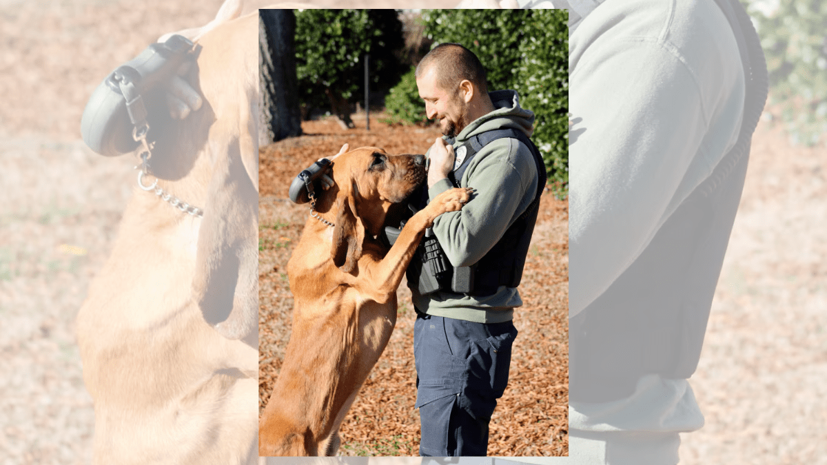 Bo the Bloodhound Takes Home the 2024 American Humane Hero Dog Award 4 Rowland and Bo