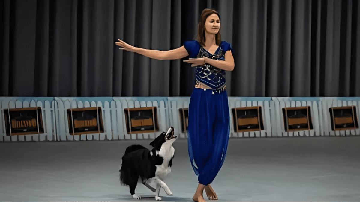Border Collie and Dancer Captivate Audiences in World Championship Performance 4 Screenshot from DogDanceMania