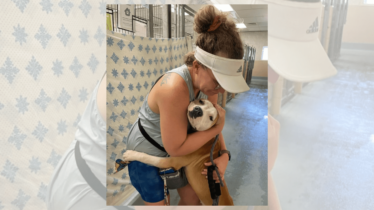 How a Rescue Dog’s Affectionate Nature Won Him a Second Chance 3 Tanner 2