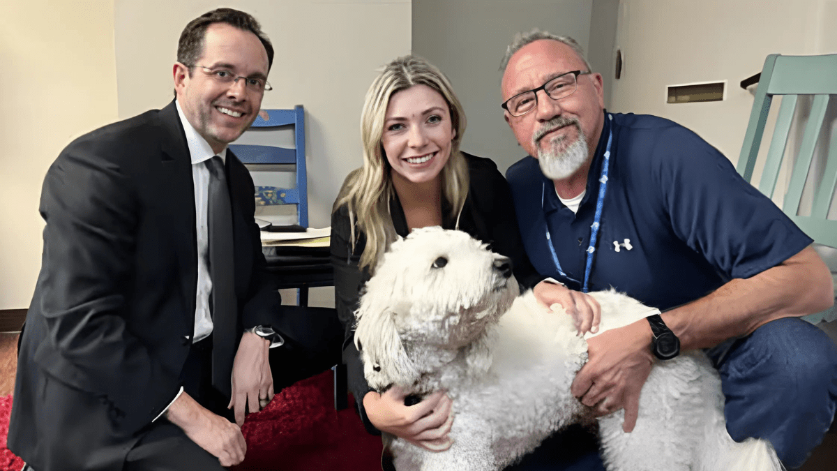 Dog Helps Uncover the Truth Behind His Owner's Murder 3 Titan