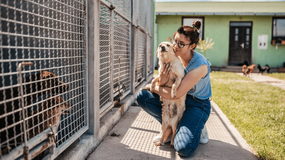 How a Rescue Dog’s Affectionate Nature Won Him a Second Chance 4 mladenbalinovacGetty Images Signature