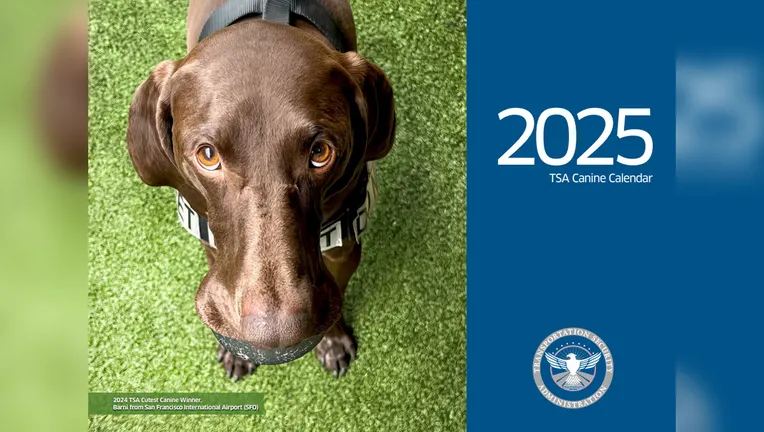 TSA Unveils Its 2025 Canine Calendar Featuring Adorable Heroes 2 Barni on the cover of 2025 TSA Canine Calendar