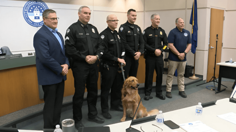 Meet Major Tucker: Police Service Dog Receives Promotion 7 Meet Major Tucker Police Service Dog Receives Promotion