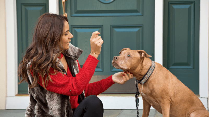 Scientists Reveal the Ultimate Trick to Grab Your Dog’s Attention 8 Scientists Reveal the Ultimate Trick to Grab Your Dog’s Attention
