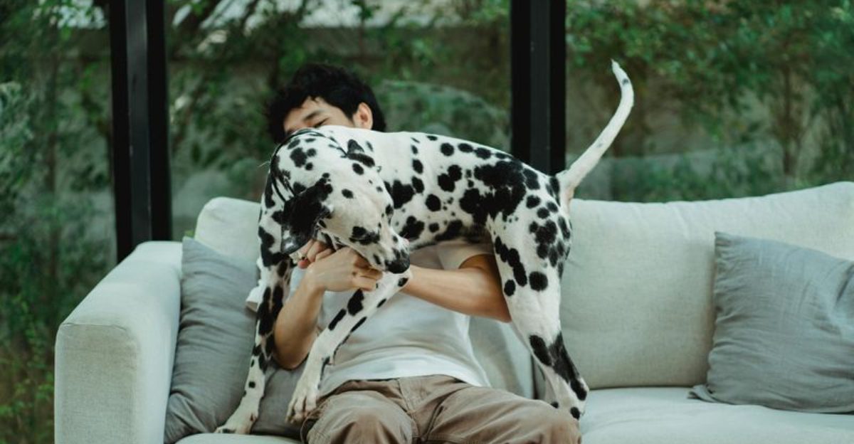 18 Proven Reasons Dogs Are Humanity’s Most Faithful Companions 1 18 Proven Reasons Dogs Are Humanitys Most Faithful Companions