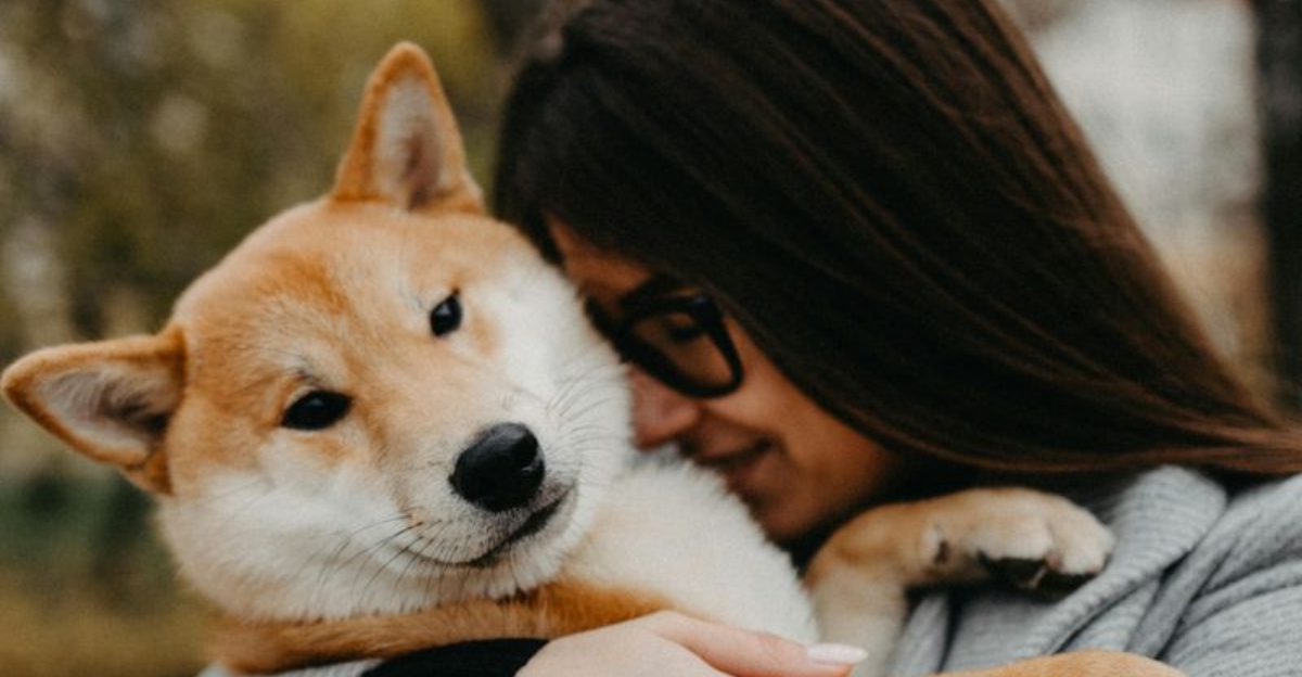 19 Meaningful Ways Dogs Help Improve Our Emotional Health 1 19 Meaningful Ways Dogs Help Improve Our Emotional Health
