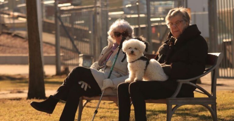 26 Dog Breeds Well-Suited for Seniors and Retirees 29 26 Dog Breeds Well Suited for Seniors and Retirees dog news
