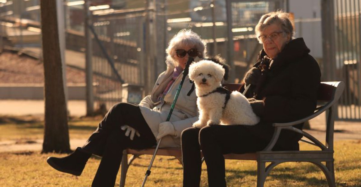 26 Dog Breeds Well-Suited for Seniors and Retirees 1 26 Dog Breeds Well Suited for Seniors and Retirees