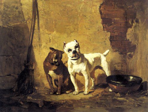 19 Extinct Dog Breeds and How They Shaped Today’s Canine World 14 Philippe Rousseau Best Of Friends Bulldog Bull Terrier