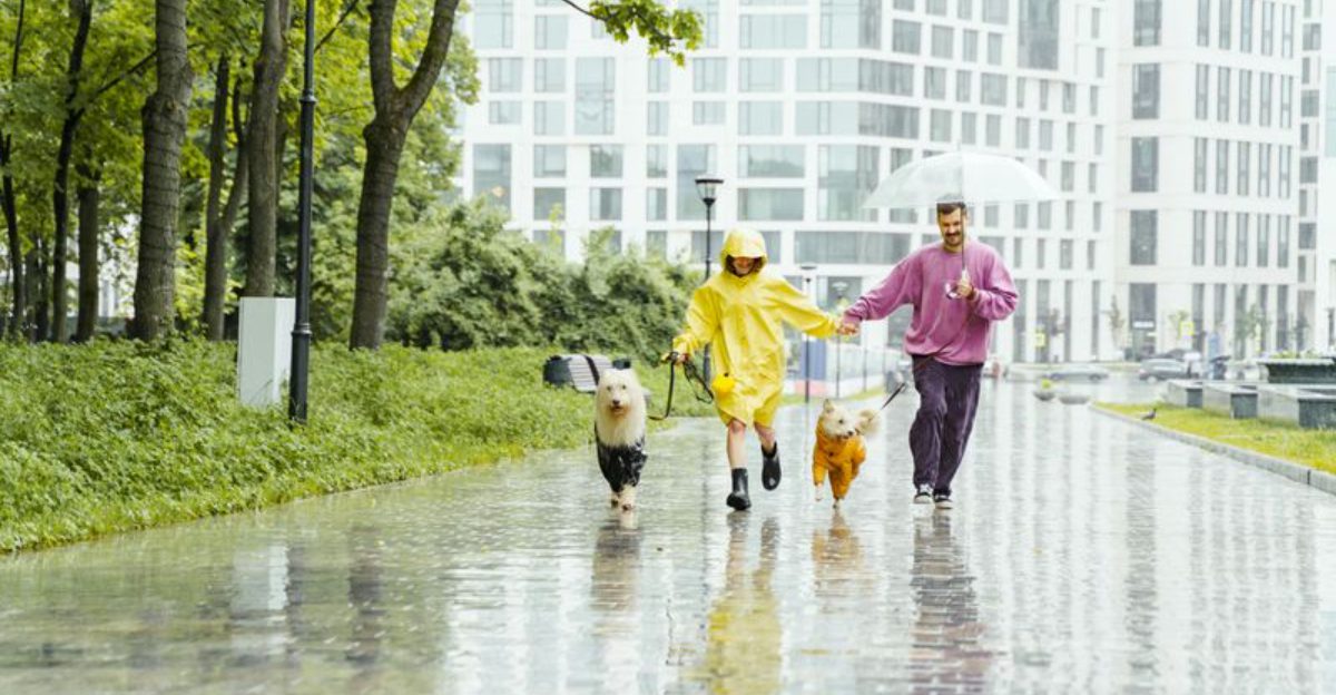 14 Everyday Moments That Show Why Dogs Are Such Close Companions 1 14 Everyday Moments That Show Why Dogs Are Such Close Companions 1