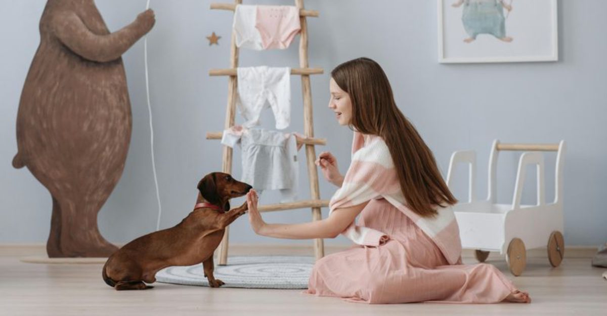 15 Dog Types That Are Happiest Living In Small Apartments 1 15 Dog Types That Are Happiest Living In Small Apartments