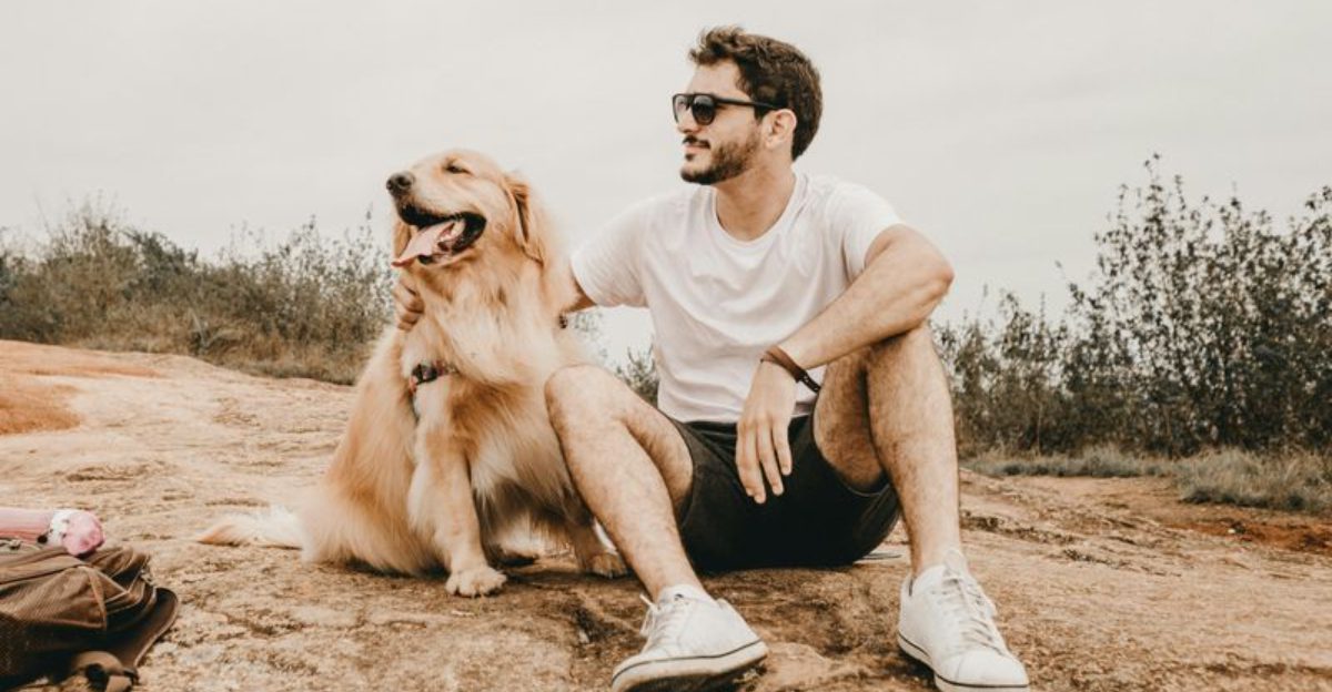 10 deeply attached dog breeds that stay glued to their humans constantly 1 10 deeply attached dog breeds that stay glued to their humans constantly