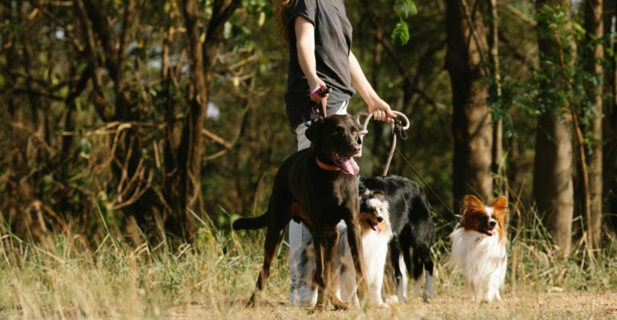 If walks feel stressful, one of these 11 mistakes could be the reason 1 If walks feel stressful one of these 11 mistakes could be the reason