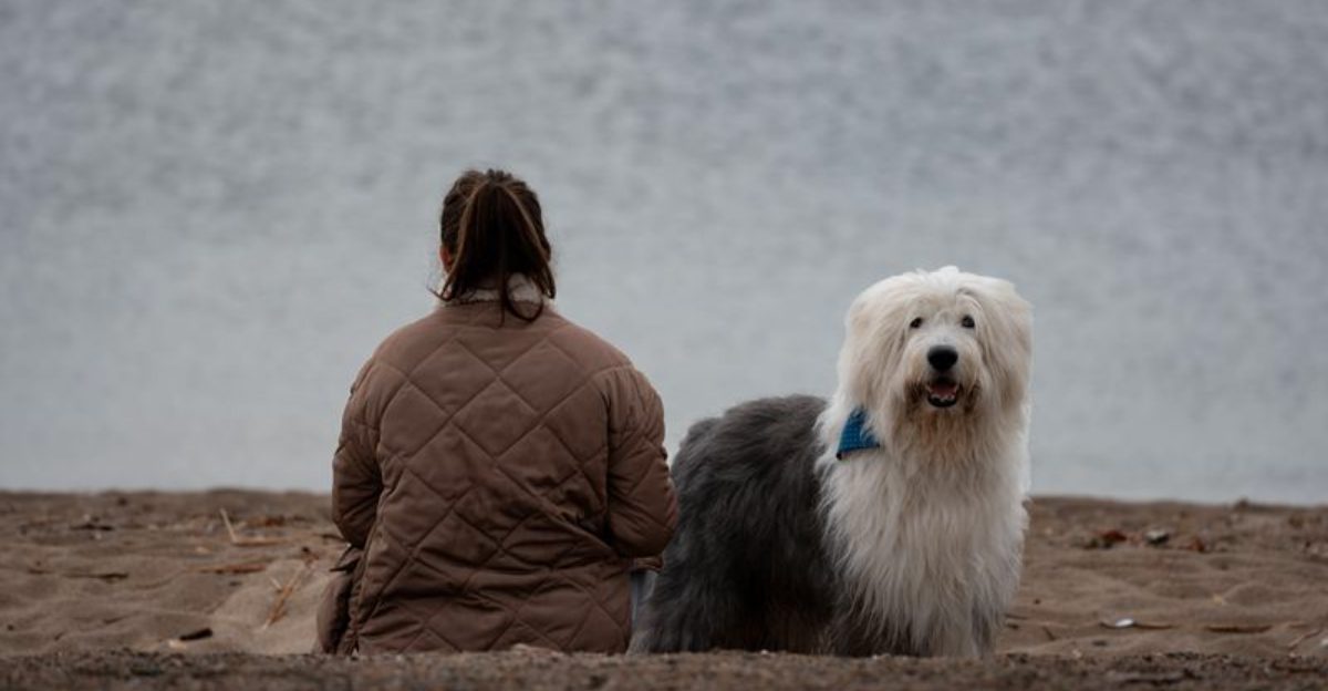 The purchase price is only the beginning - these dog breeds can demand serious time and maintenance 1 featured image 2b1a1a5394ef d2ab5dd88bc4