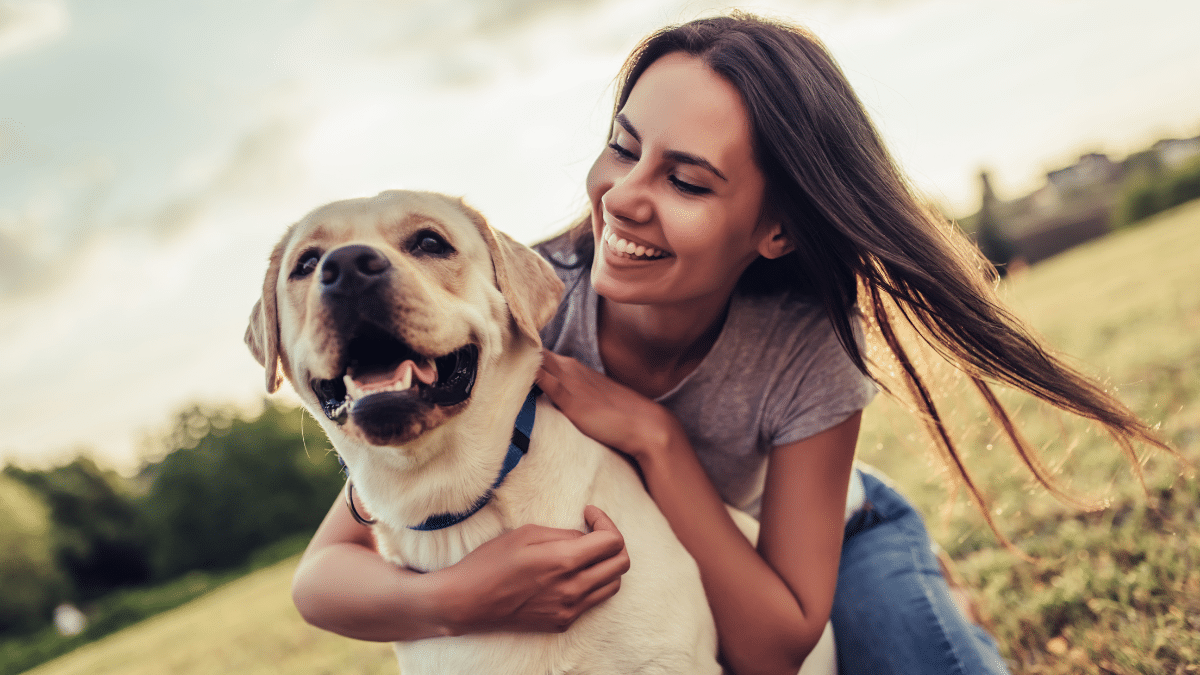 About Dog Club Team