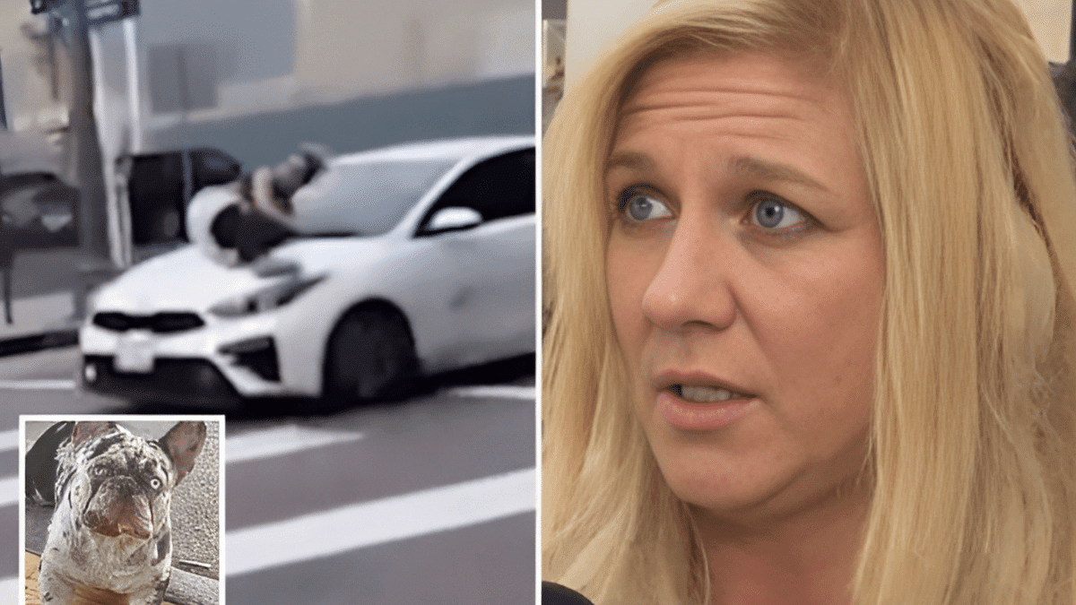 Watch: Dog Owner Clinging to Car Hood During Dognapping