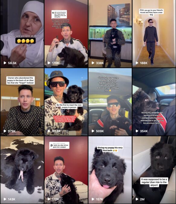 instagram dog daddy dog daddy