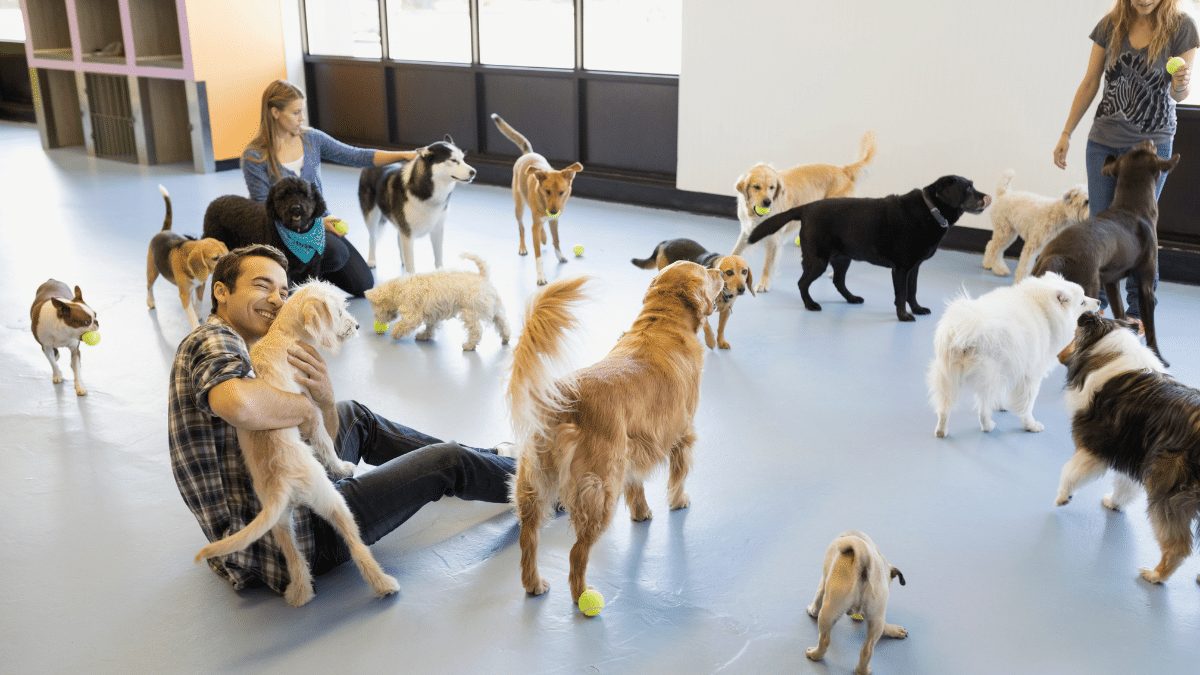 people with dogs
