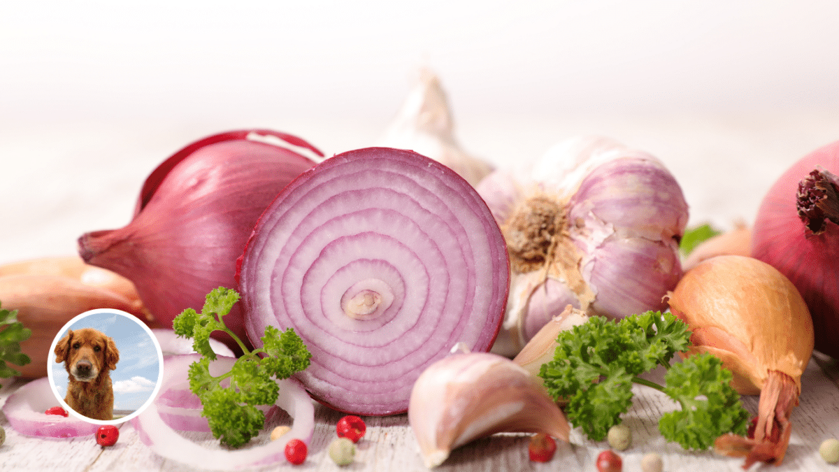 1. Onions and Garlic