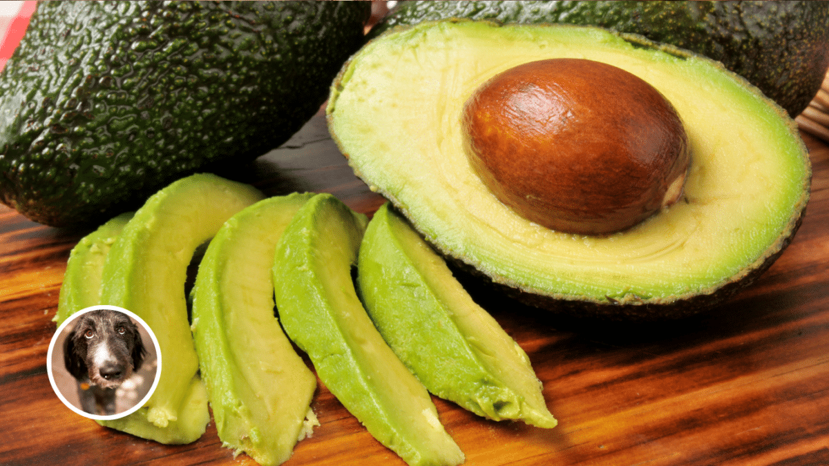 4. Avocado