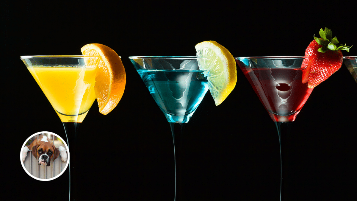 6. Alcohol