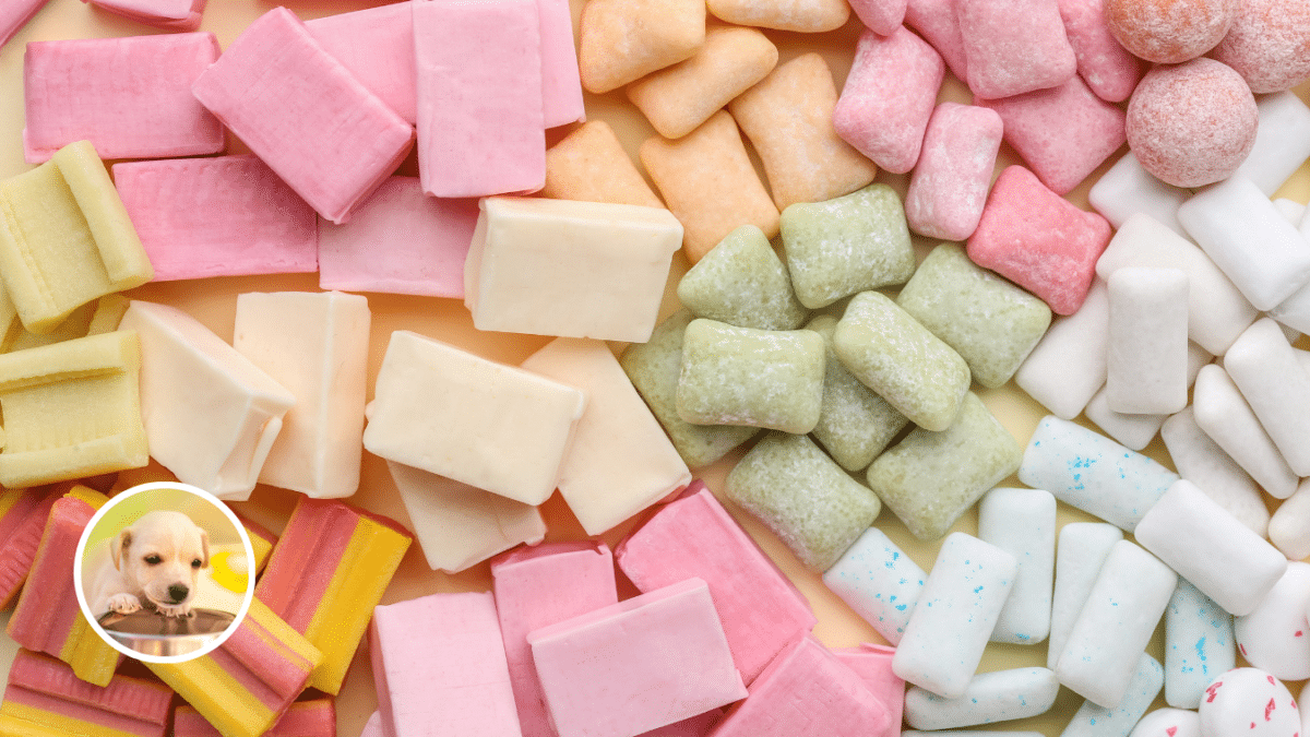 8. Xylitol