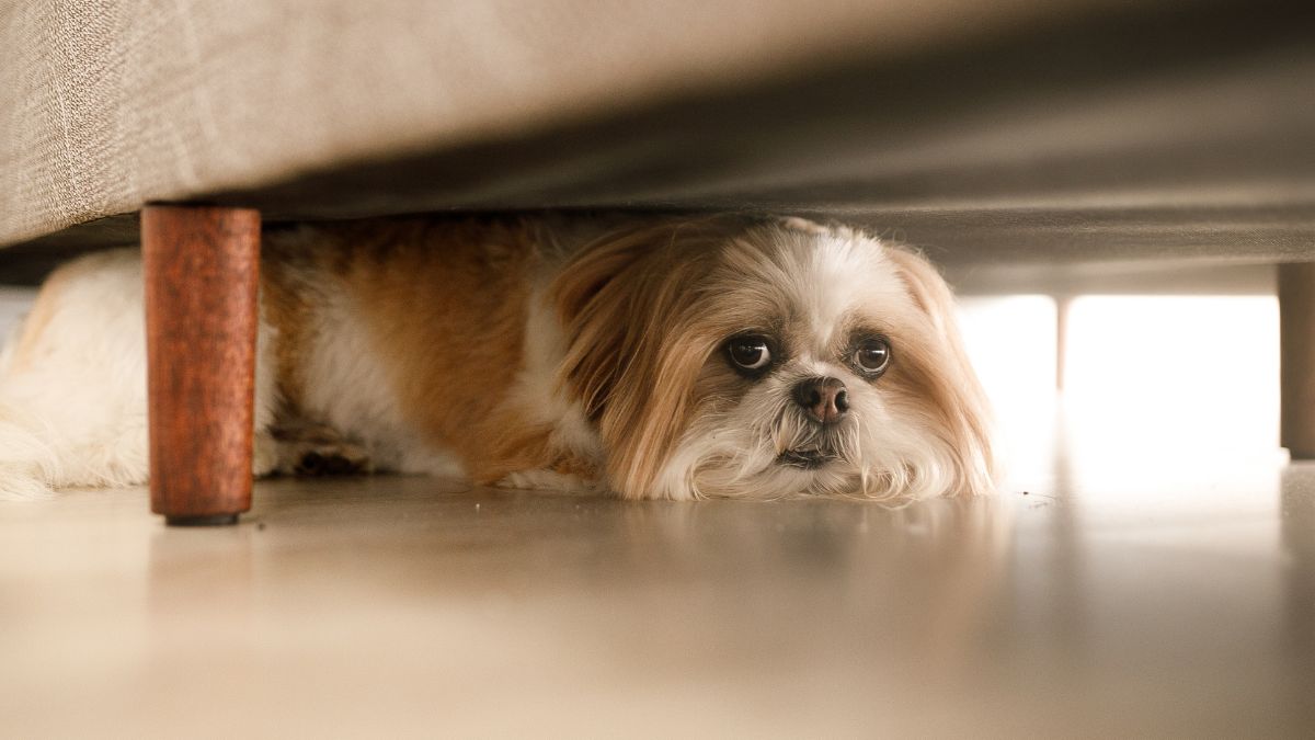 1. Hiding or Isolating