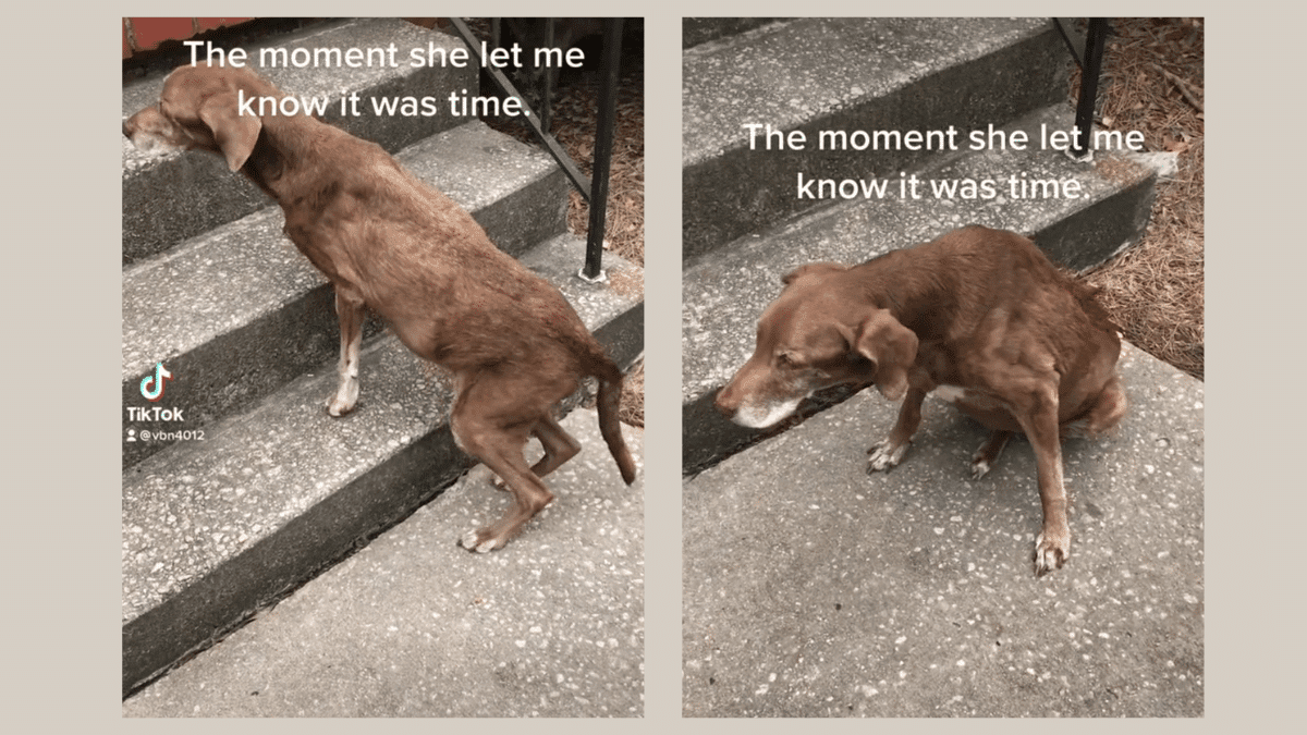 5. Falling Down the Stairs