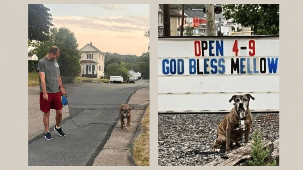 7. Last Walk in the Neighborhood end