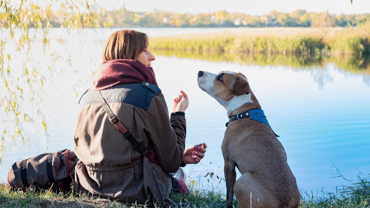 AI For Dogs 1 1