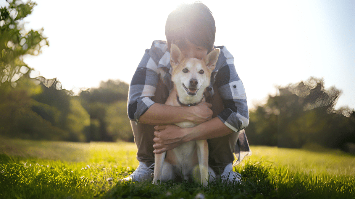 Dog Rescue Teen and His Puppy Saved After Falling Hundreds of