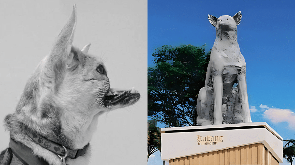 Hero Dog Loses Her Nose to Save Lives of Two Children