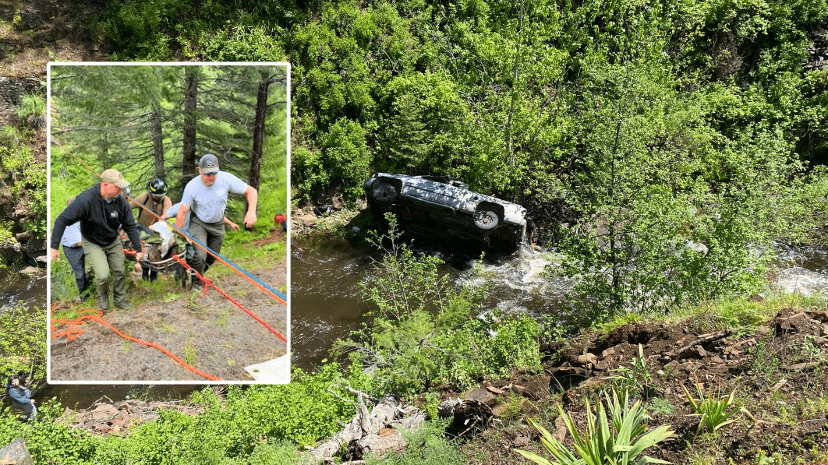 Incredible Rescue Dog Runs Four Miles for Help After Owner's Car Crash cover