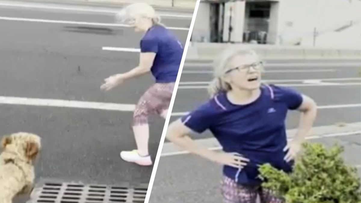 Woman Attempts to Harm Dog on Public Street