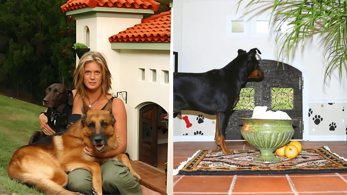 Hunter Dogs