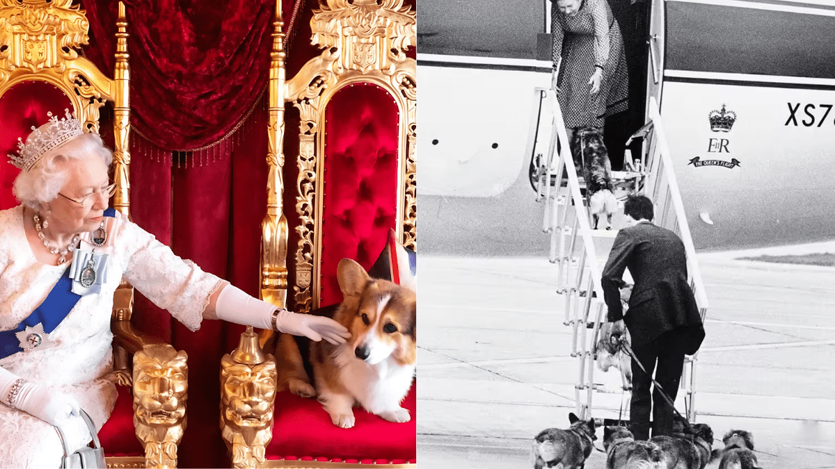 Queen Elizabeths Dogs