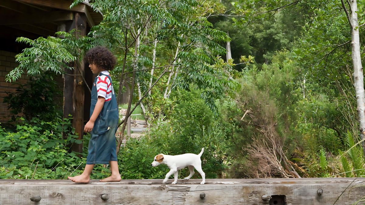 Your Dog Follows You Around
