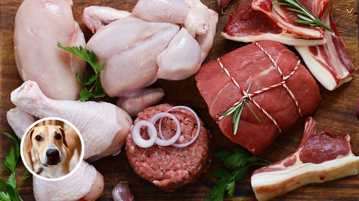 Raw Meat
