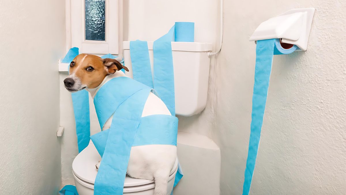 Change In Urination Habits