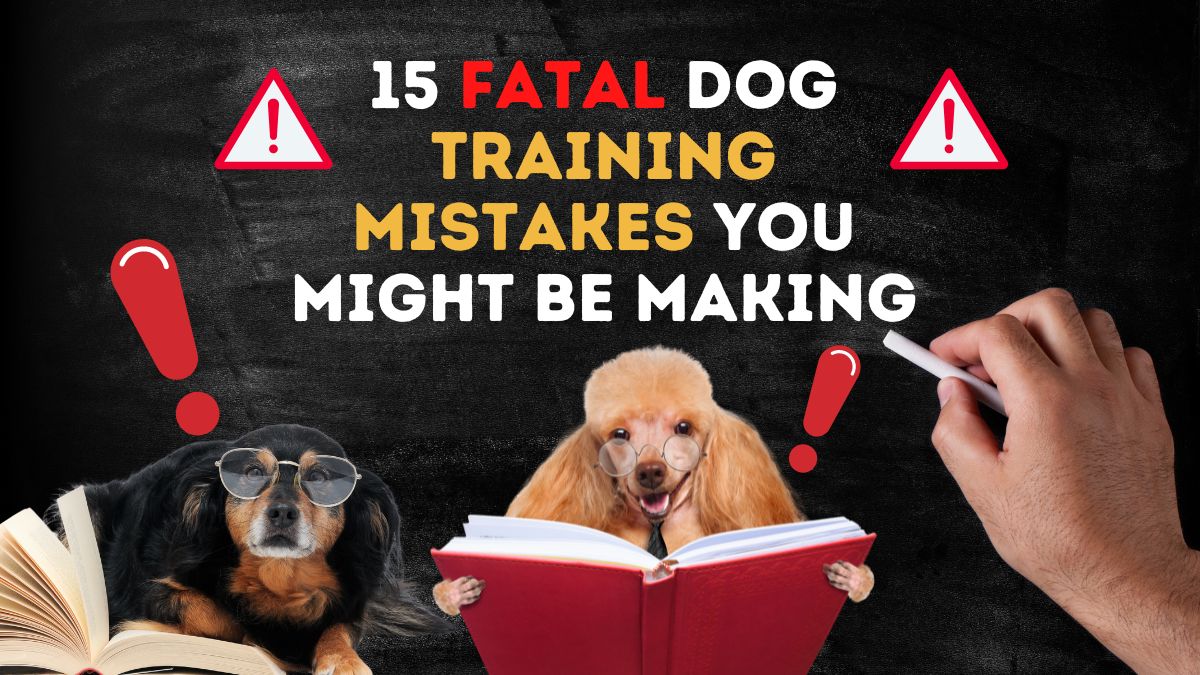 15 Fatal Dog Training Mistakes You Might Be Making