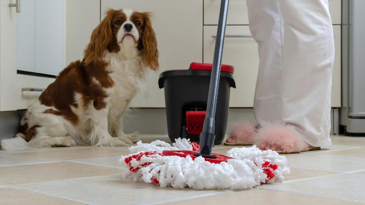 Exposure to Cleaning Products