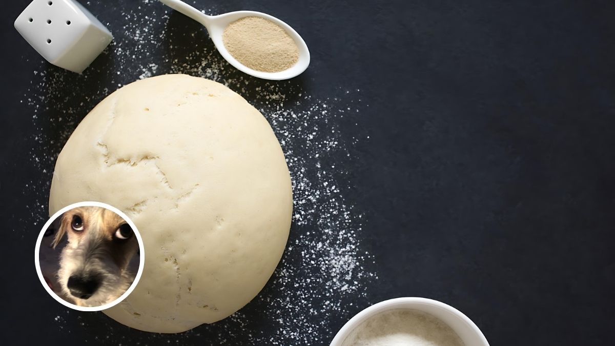 Raw Dough