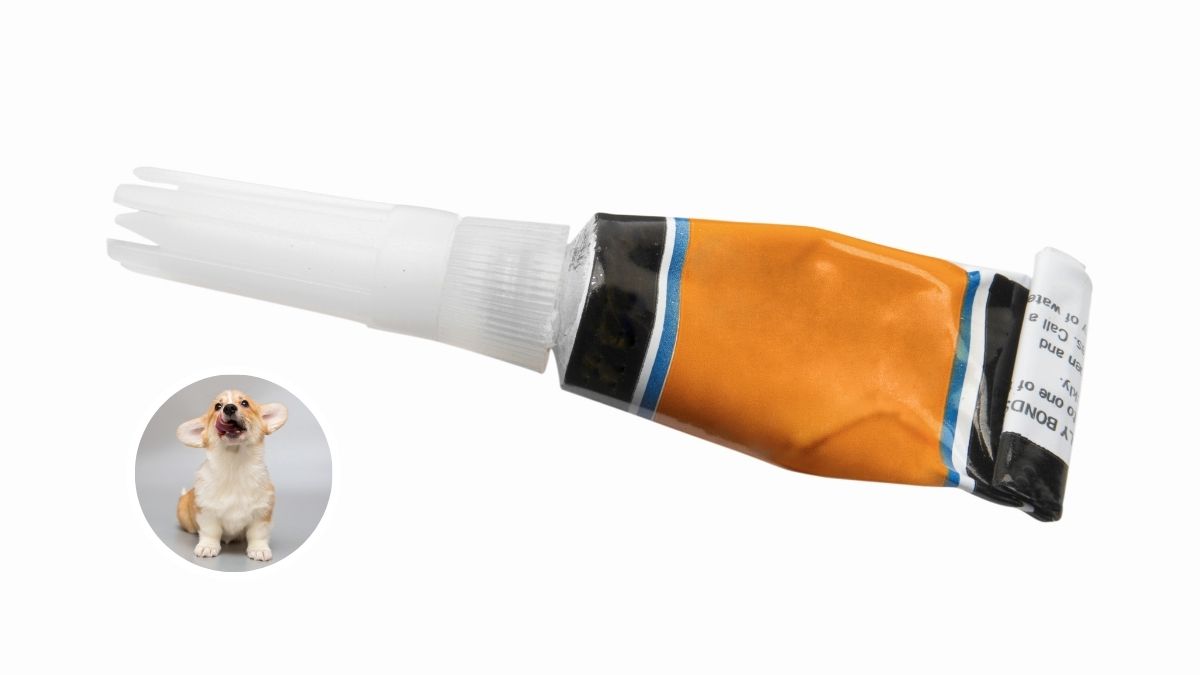 Swallowing Glue Products