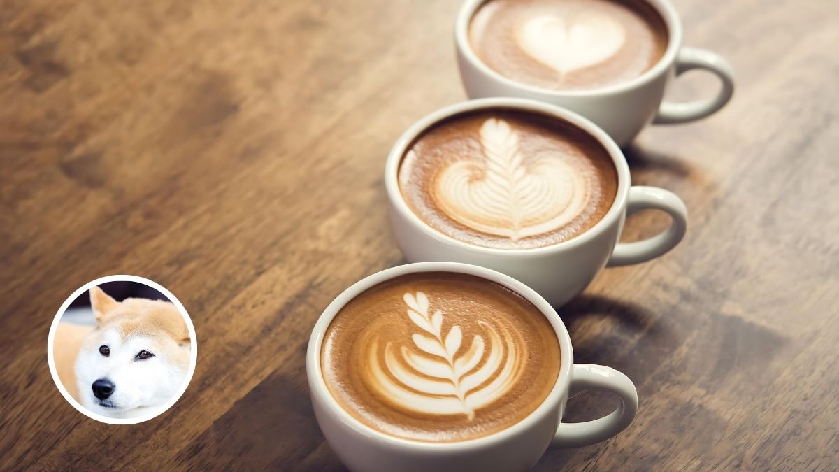 Caffeine