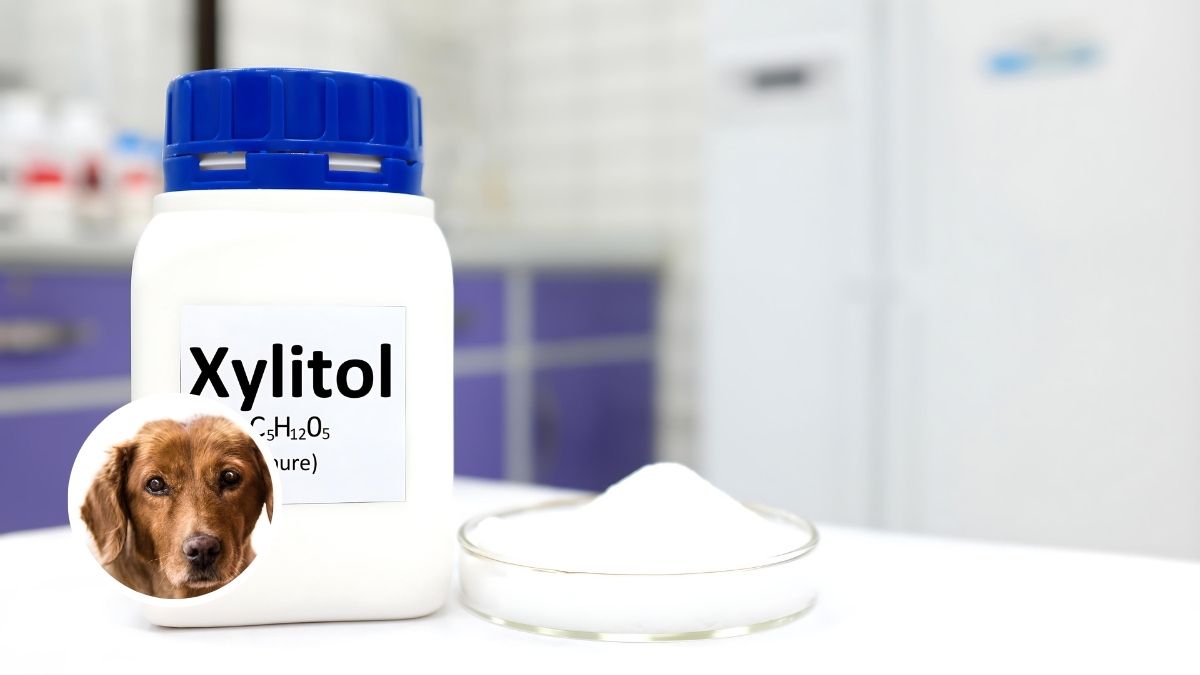 Xylitol