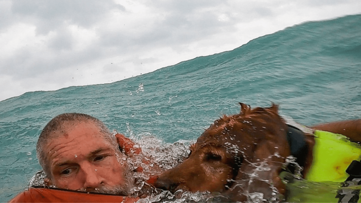 Coast Guard Rescues Dog and Owner Amid Hurricane Helene