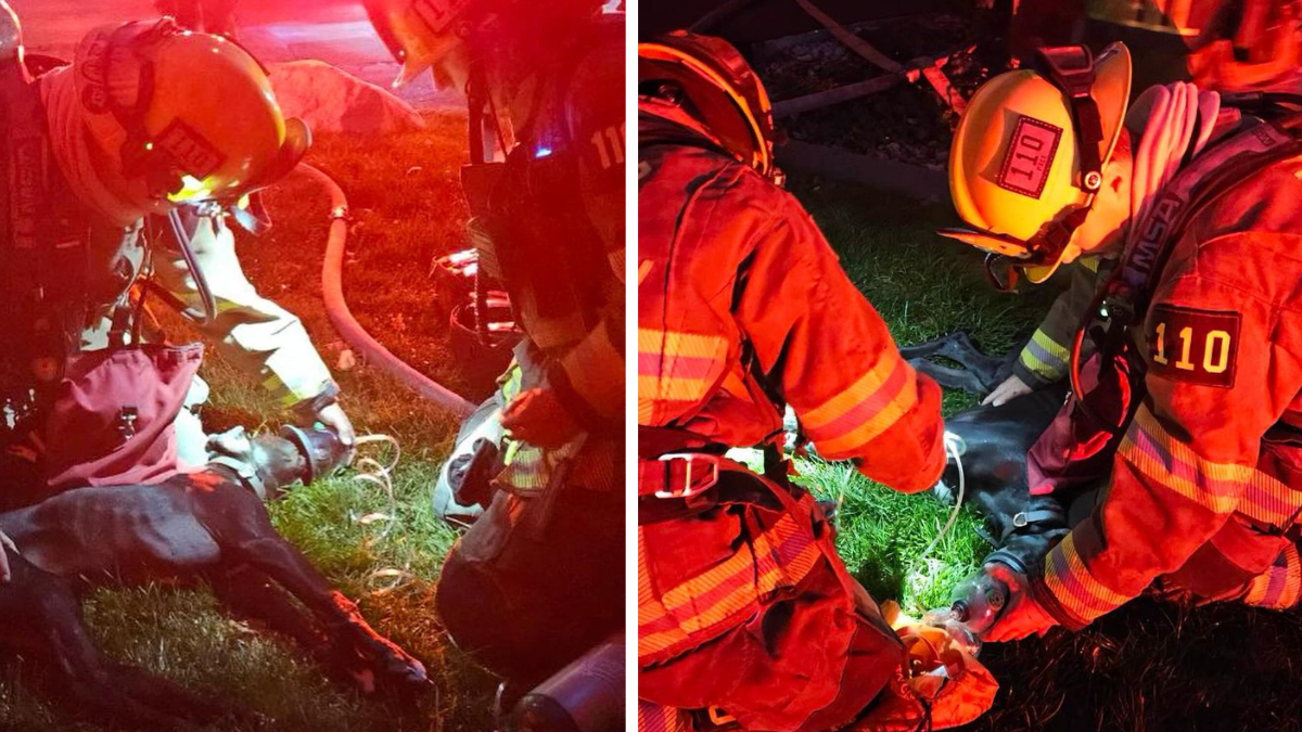 Photos courtesy of United Fire Authority